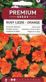 Sultan-lemmalts oranž