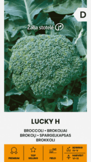 Spargelkapsas "Lucky" F1