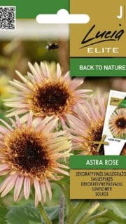Harilik päevalill "Astra Rose"