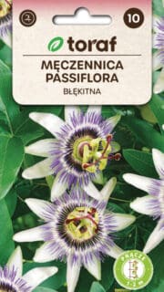 Sinine kannatuslill