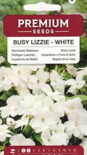 Sultan-lemmalts "White"