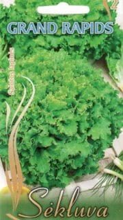 Lehtsalat "Grand Rapids"