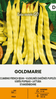 Lattuba "Goldmarie"