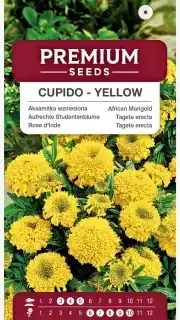 Peiulill "Cupido Yellow"