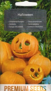 Kõrvits "Halloween"