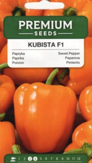 Paprika "Kubista" F1