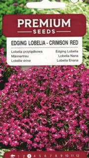 Lobeelia "Crimson Red"