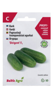 Avamaakurk "Dirigent" F1