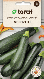 Kabatšokk "Nefertiti"