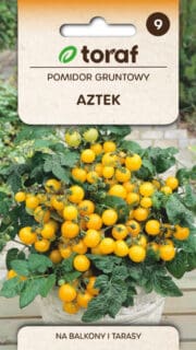 Tomat "Aztek"