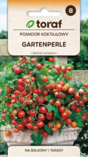 Tomat "Garden Pearle" / "Aiapärl" / "Garden Perle" / "Gartenperle"