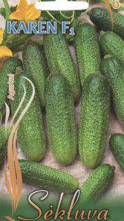 Avamaakurk "Karen" F1