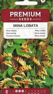 Miina ehk hõlmine lehtertapp