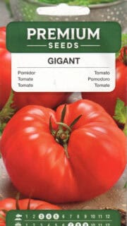 Tomat "Gigant"