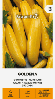 Kabatšokk "Goldena"