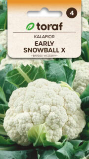 Lillkapsas "Early Snowball X"