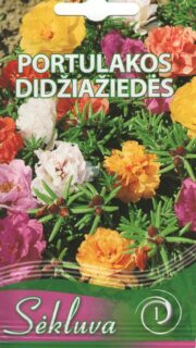 Suureõieline portulak täidisõieline segu