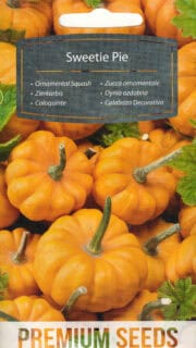 Kõrvits "Sweetie Pie"