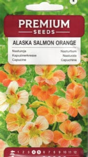 Suur mungalill "Alaska Salmon Orange"