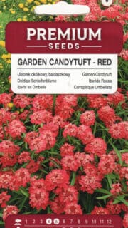 Sarikibeeris "Red Flash"