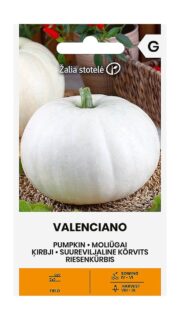 Kõrvits "Valenciano"