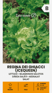 Jääsalat "Regina Dei Ghiacci"