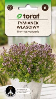 Tüümian ehk aed-liivatee