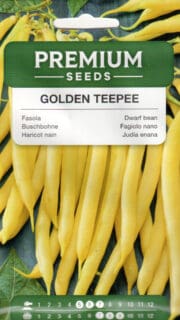 Aeduba "Golden Teepee"