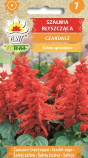 Leeksalvei sarlakpunane