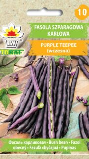 Aeduba "Purple Teepee"