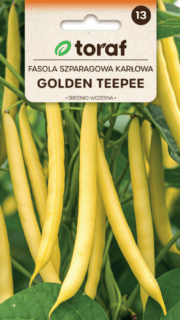 Aeduba "Golden Teepee"