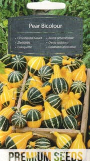 Dekoratiivkõrvits "Pear Bicolour"