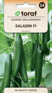 Kasvuhoonekurk "Saladin" F1