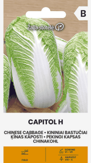 Pekingi kapsas "Capitol" F1
