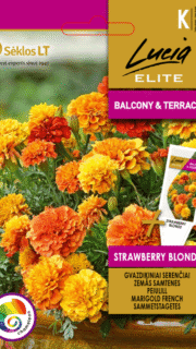 Peiulill "Strawberry Blonde"
