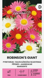Roosa neitsikummel "Robinson`s Giant"
