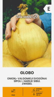 Sibul "Globo"
