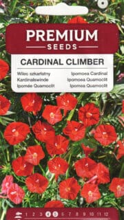 Sulgjas lehtertapp punane