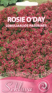 Rand-kivikilbik "Rosie o`Day"