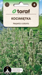 Harilik naistenõges