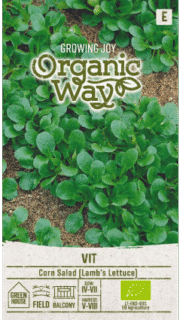 Põldkännak ehk lambasalat