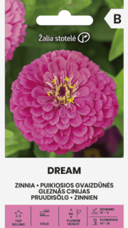 Harilik pruudisõlg "Dream"