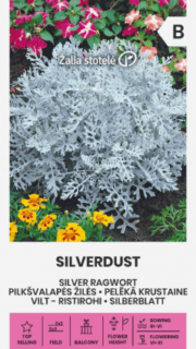 Vilt-ristirohi "Silverdust"