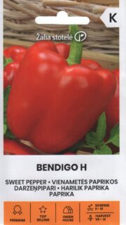 Paprika "Bendigo" F1
