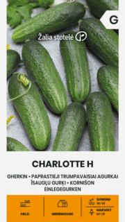 Avamaakurk "Charlotte" F1