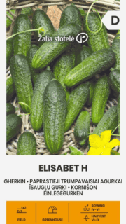 Avamaakurk "Elisabet" F1