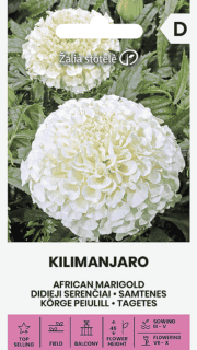 Peiulill "Kilimanjaro"