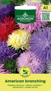 Aster "American Branching"