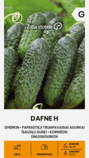 Avamaakurk "Dafne" F1