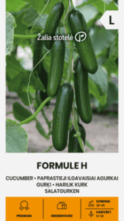 Kasvuhoonekurk "Formule" F1